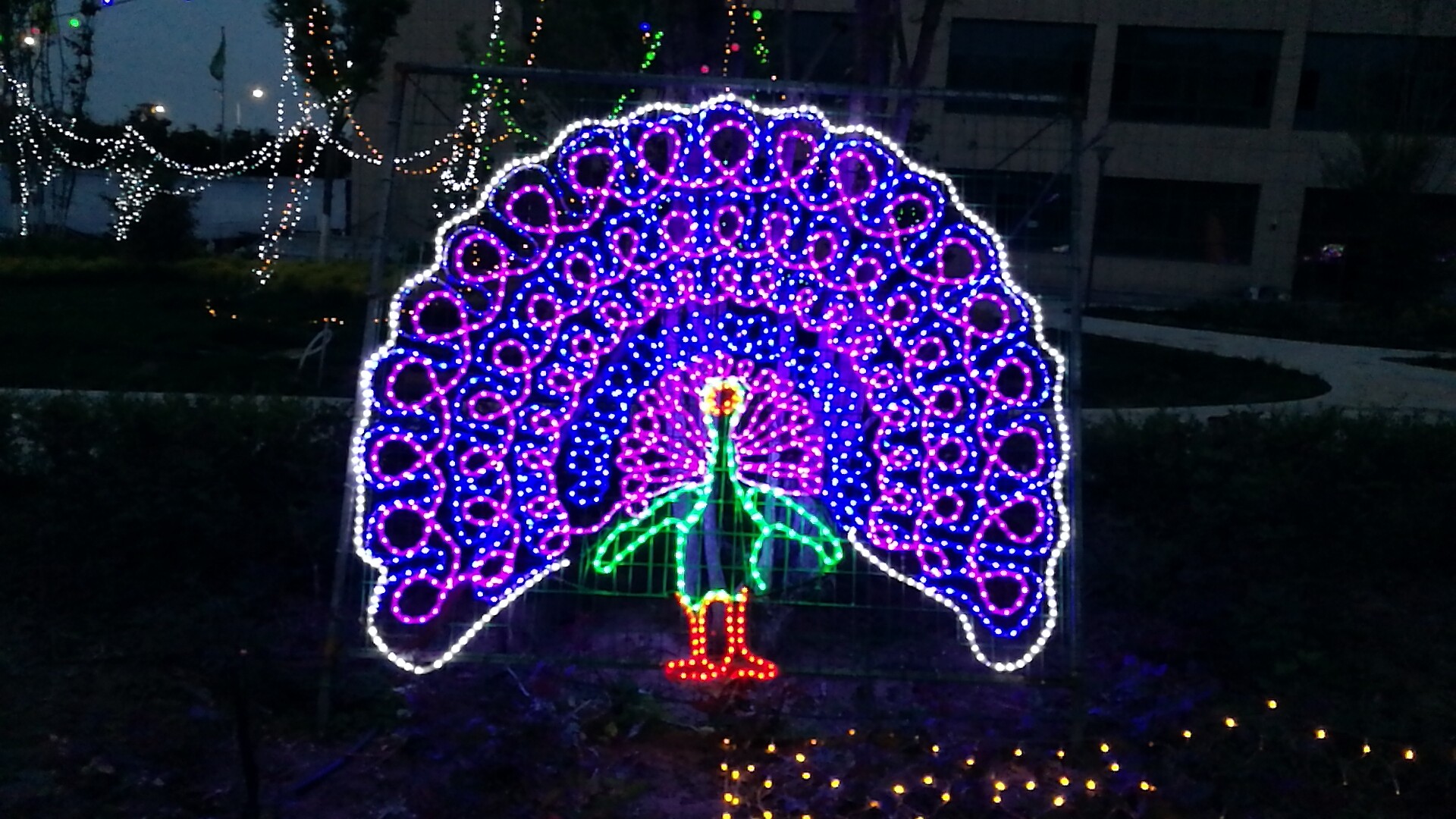 ��������k8��������Ӯ��һ��������ó�㳡�������ƹ������ڡ��Ӵ��㣡